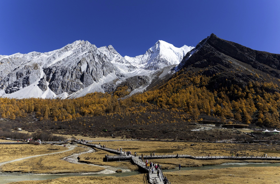 標本 China Yunnan Cetoniinae s.p 23mm China Yunnan Cetoniinae s.p 23mm Yunnan | Shan China Tours